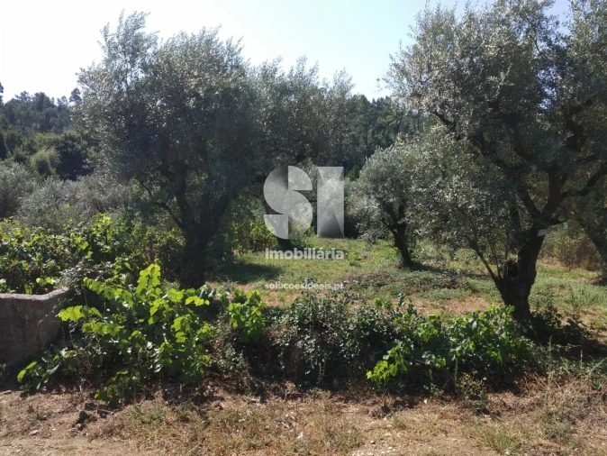 Terreno para Venda em Arrifana Foto 3
