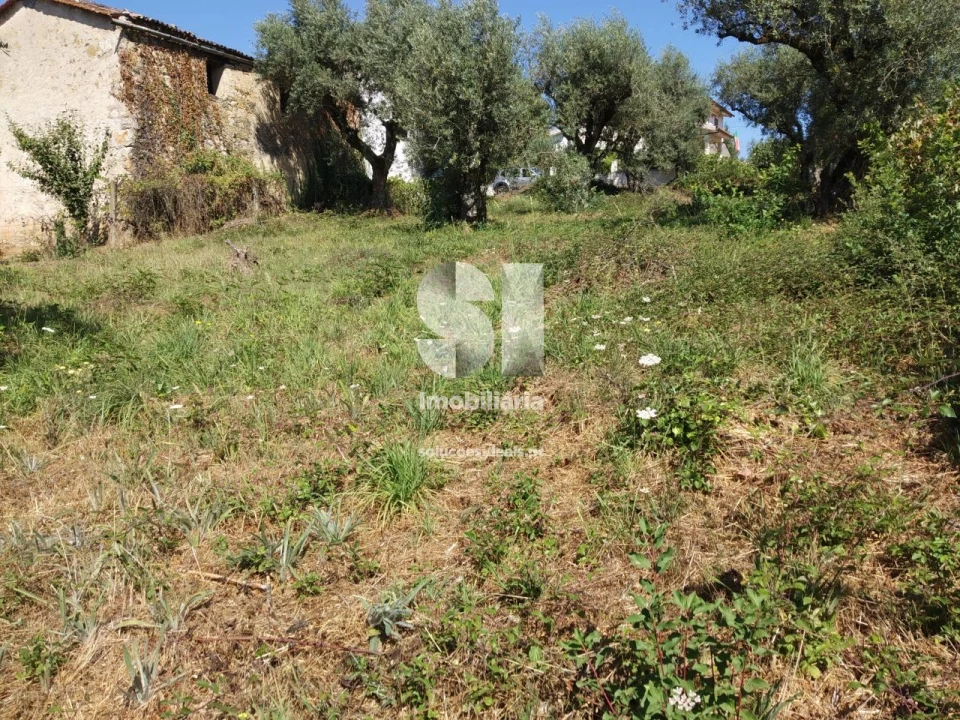 Terreno para Venda em Arrifana Foto 4