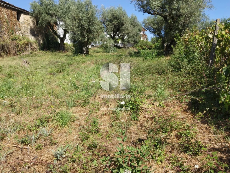 Terreno para Venda em Arrifana Foto 5