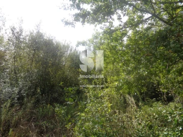 Terreno para Venda em Poiares (Santo Andre)
