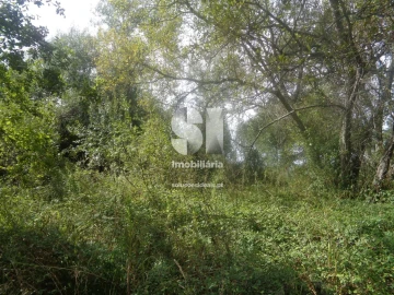 Terreno para Venda em Poiares (Santo Andre)