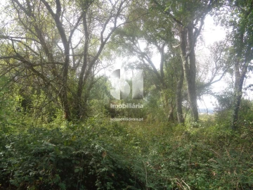 Terreno para Venda em Poiares (Santo Andre)