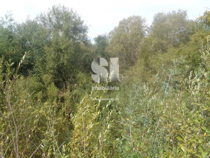 Terreno para Venda em Poiares (Santo Andre) Foto 3