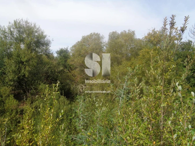 Terreno para Venda em Poiares (Santo Andre) Foto 5