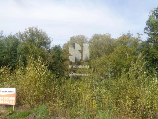 Terreno para Venda em Poiares (Santo Andre) Foto 6