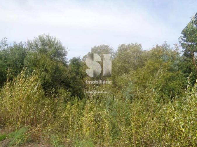 Terreno para Venda em Poiares (Santo Andre) Foto 7