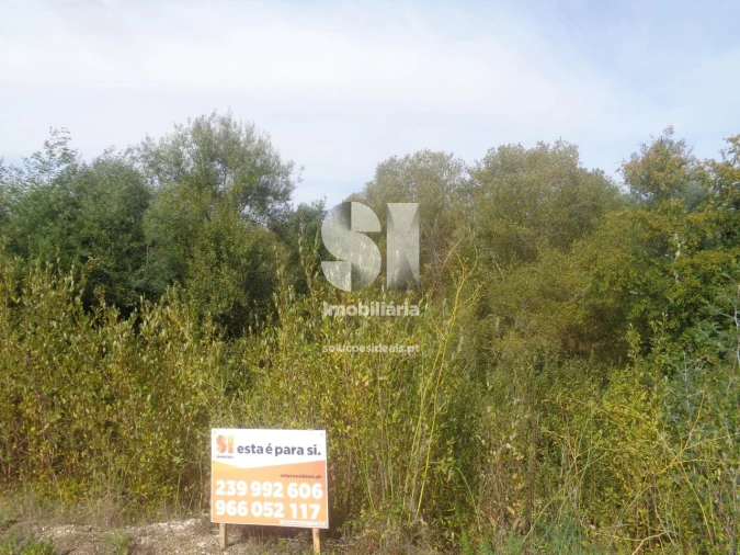 Terreno para Venda em Poiares (Santo Andre) Foto 11