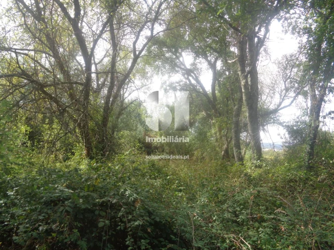 Terreno para Venda em Poiares (Santo Andre) Foto 15