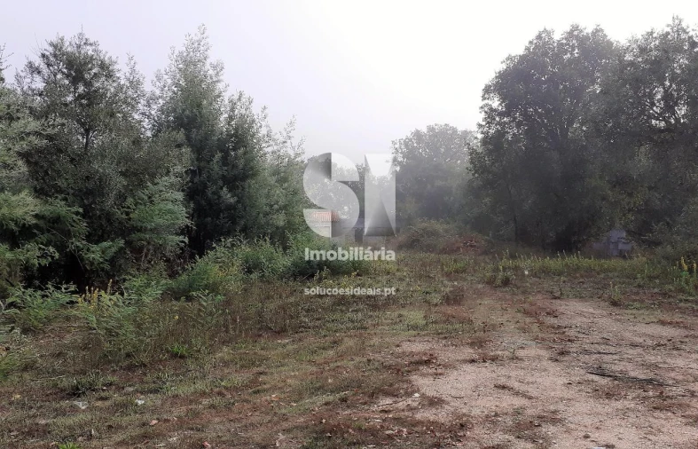 Terreno para Venda em Lousã e Vilarinho Foto 3
