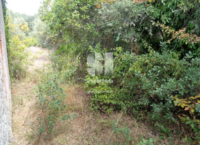 Terreno para Venda em Lousã e Vilarinho Foto 8
