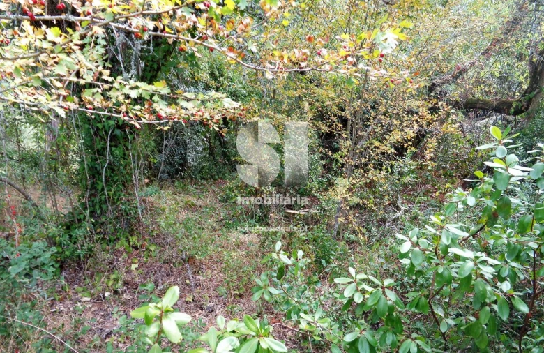 Terreno para Venda em Lousã e Vilarinho Foto 9