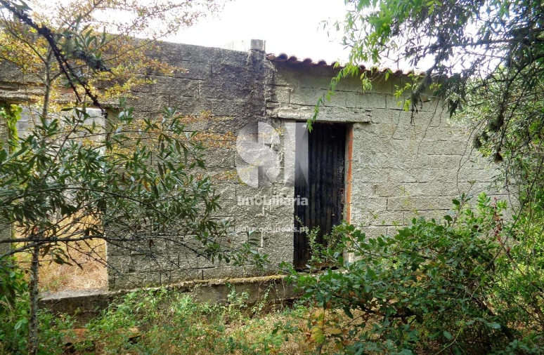 Terreno para Venda em Lousã e Vilarinho Foto 10