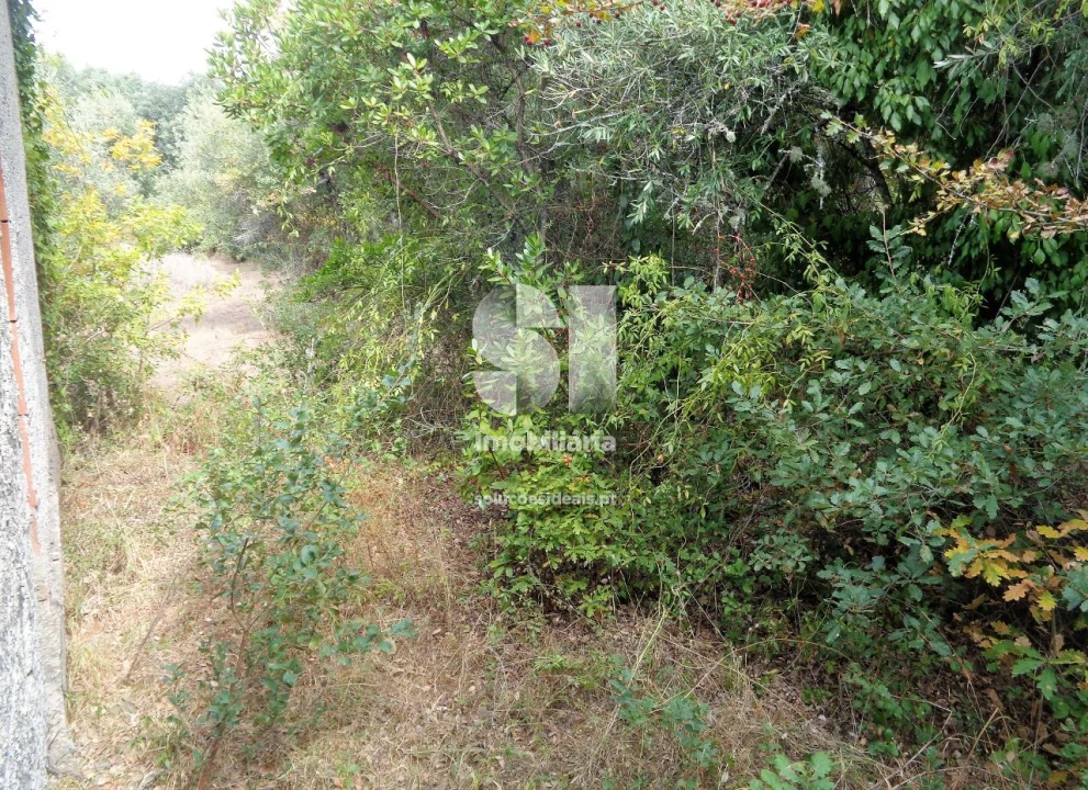 Terreno para Venda em Lousã e Vilarinho Foto 8