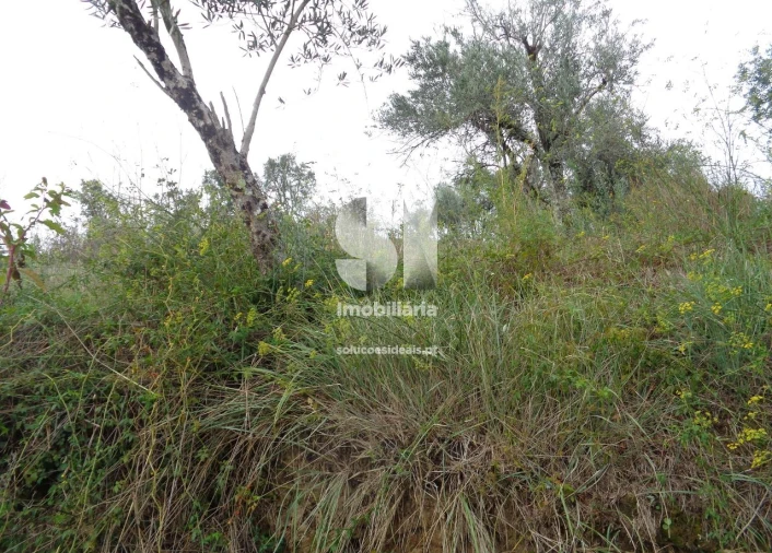 Terreno para Venda em Lousã e Vilarinho Foto 2