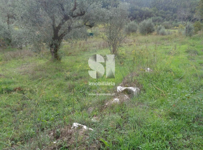 Terreno para Venda em Lousã e Vilarinho Foto 4