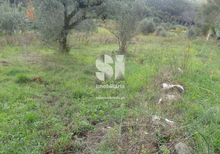 Terreno para Venda em Lousã e Vilarinho Foto 5
