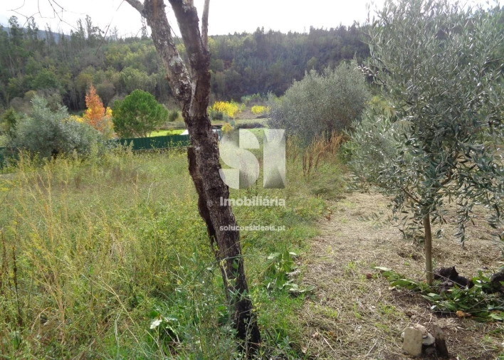Terreno para Venda em Lousã e Vilarinho Foto 7