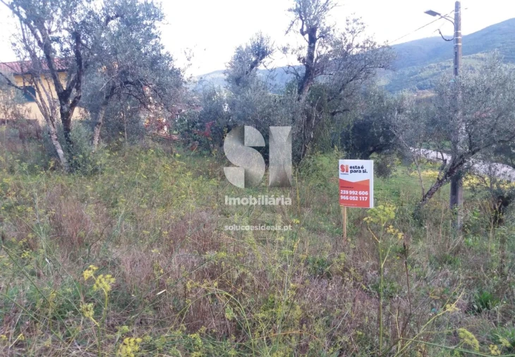 Terreno para Venda em Lousã e Vilarinho Foto 10