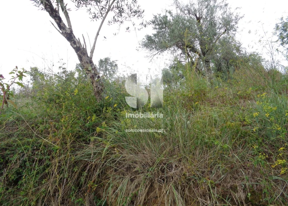 Terreno para Venda em Lousã e Vilarinho Foto 2