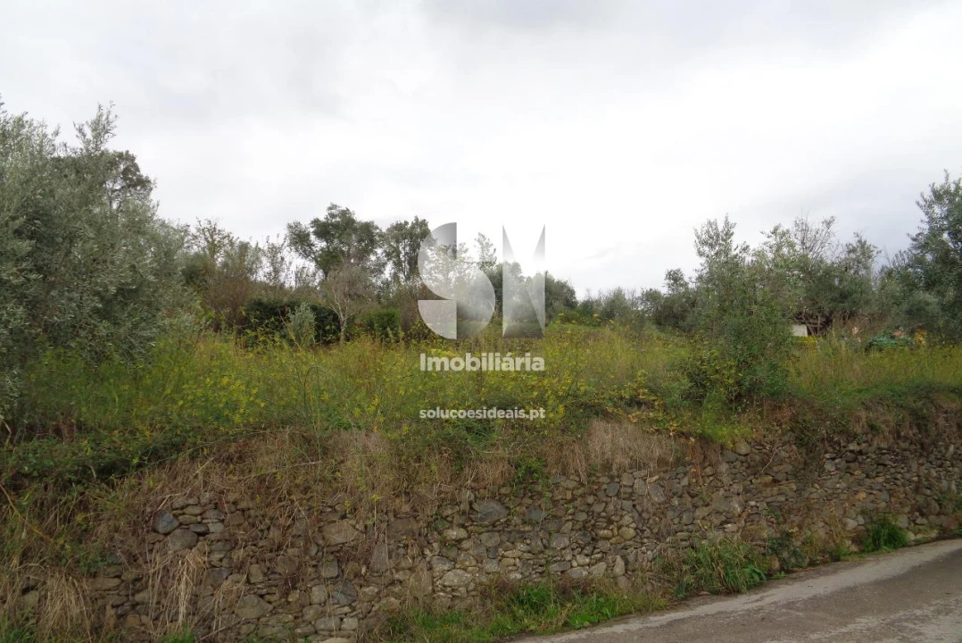 Terreno para Venda em Lousã e Vilarinho Foto 3