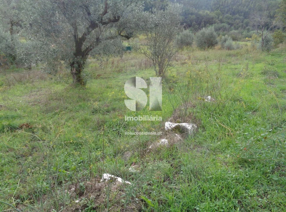 Terreno para Venda em Lousã e Vilarinho Foto 4