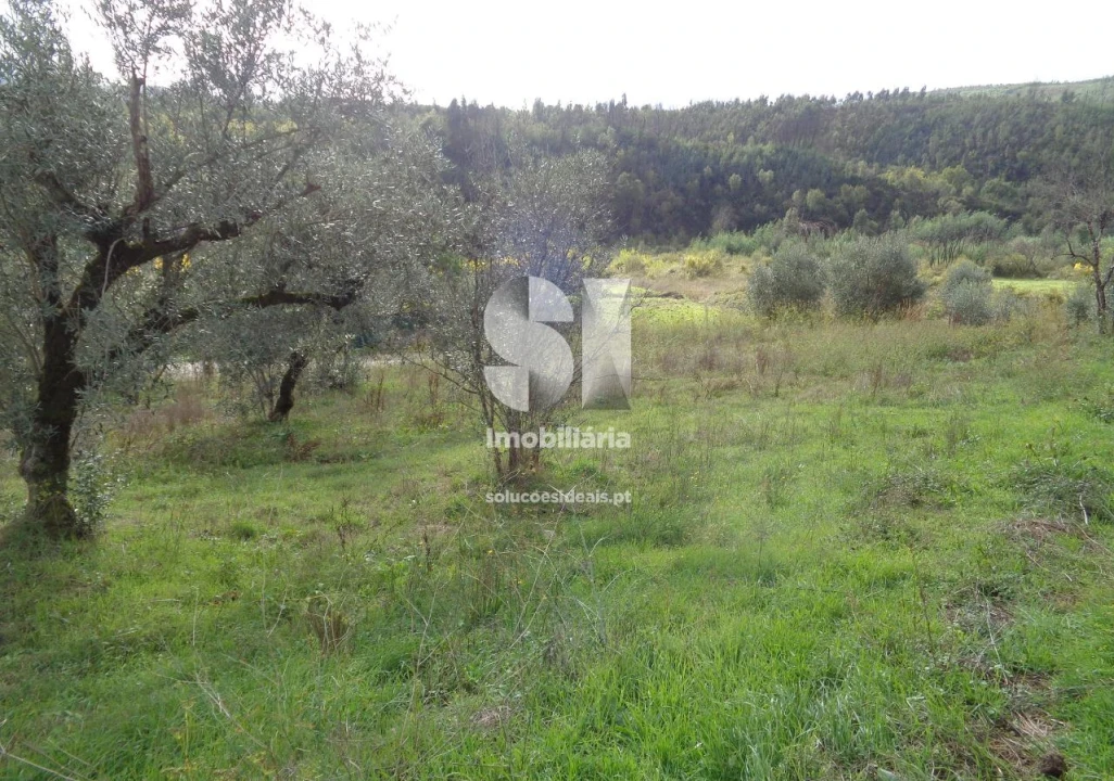 Terreno para Venda em Lousã e Vilarinho Foto 6