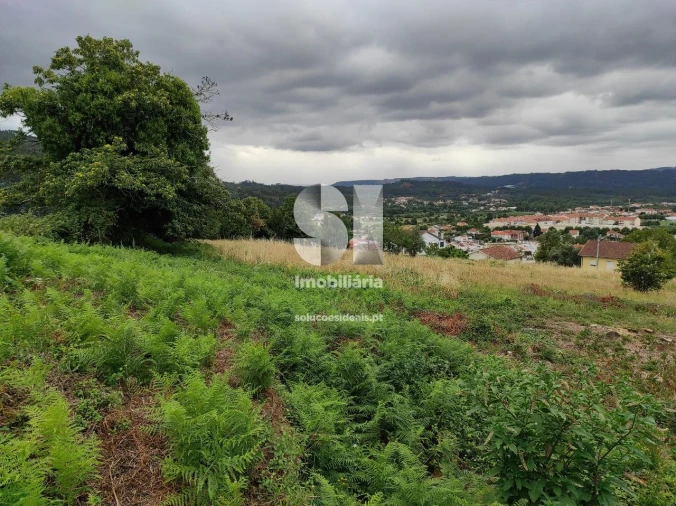 Terreno para Venda em Lousã e Vilarinho Foto 20