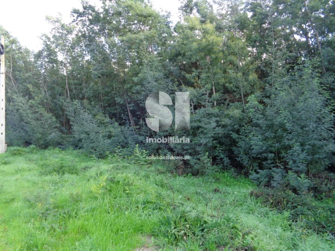 Terreno para Venda em Lousã e Vilarinho Foto 4