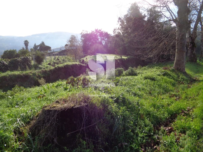 Terreno para Venda em Lousã e Vilarinho Foto 6