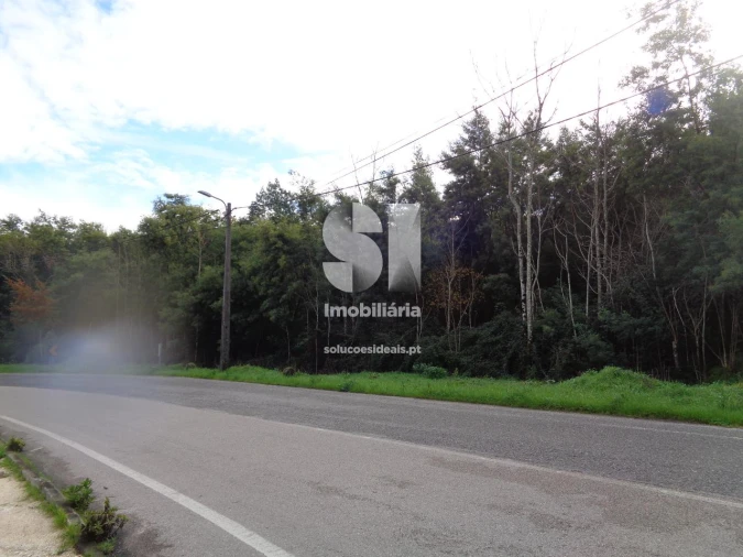 Terreno para Venda em Lousã e Vilarinho Foto 11