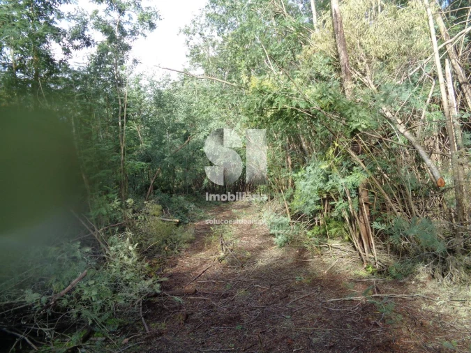 Terreno para Venda em Lousã e Vilarinho Foto 18