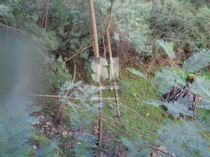 Terreno para Venda em Lousã e Vilarinho Foto 20