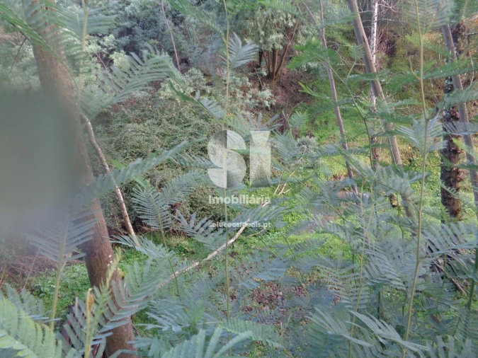 Terreno para Venda em Lousã e Vilarinho Foto 21