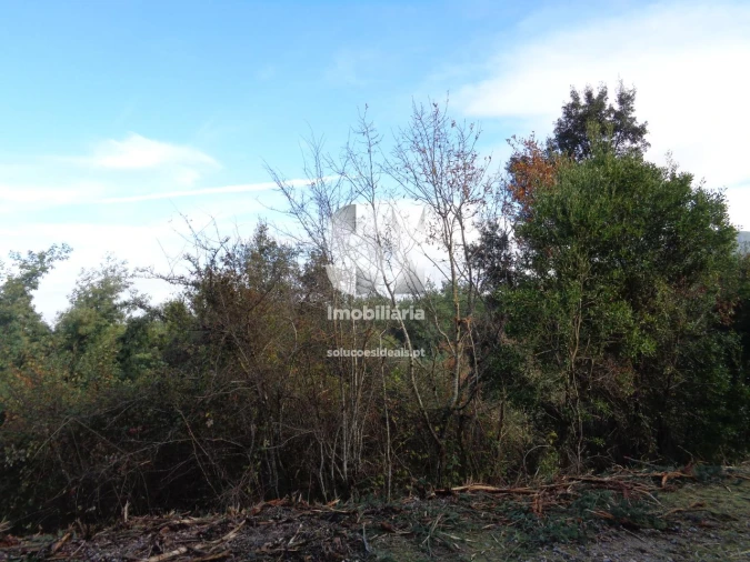 Terreno para Venda em Lousã e Vilarinho Foto 26