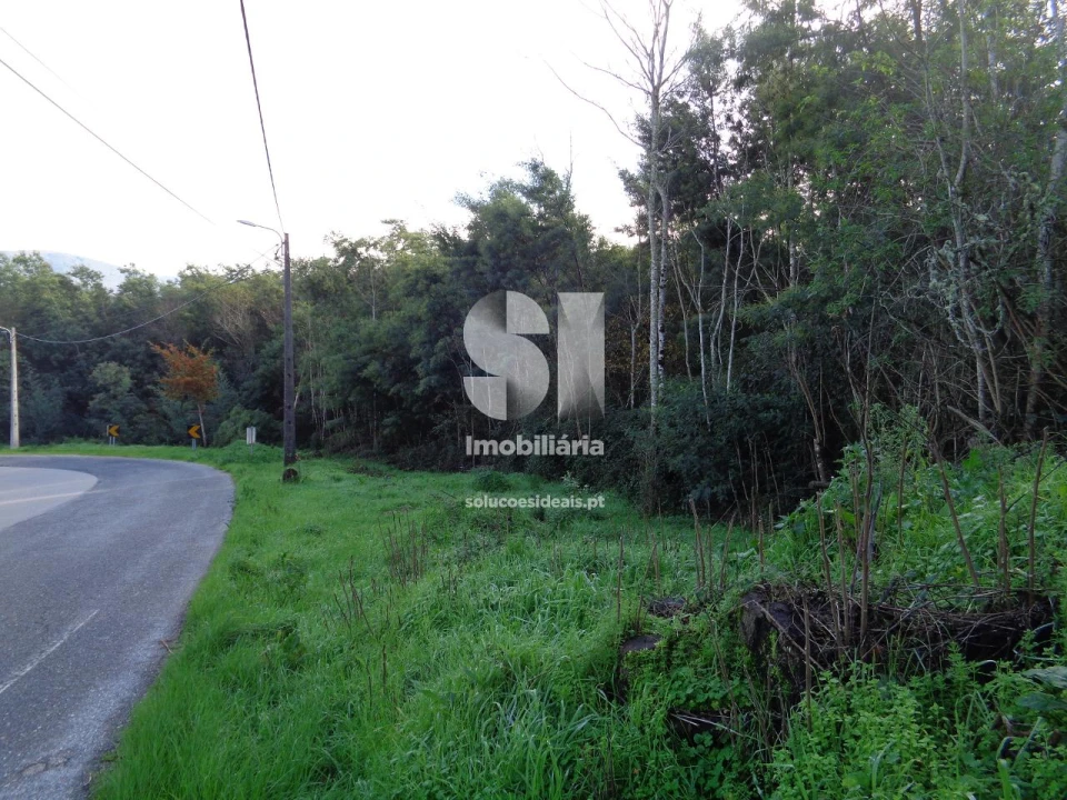 Terreno para Venda em Lousã e Vilarinho Foto 3