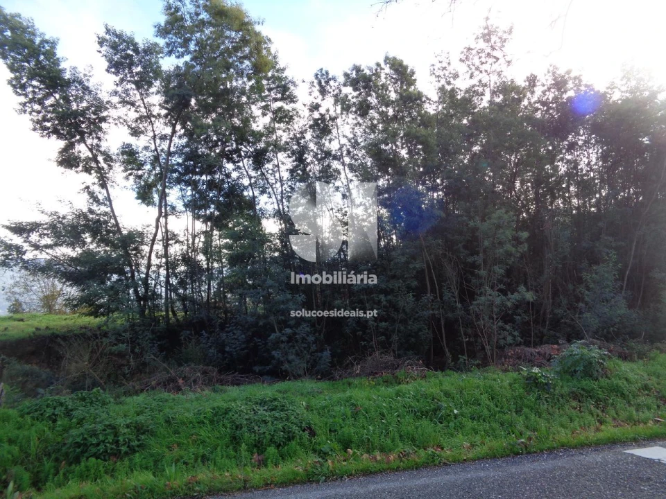 Terreno para Venda em Lousã e Vilarinho Foto 1