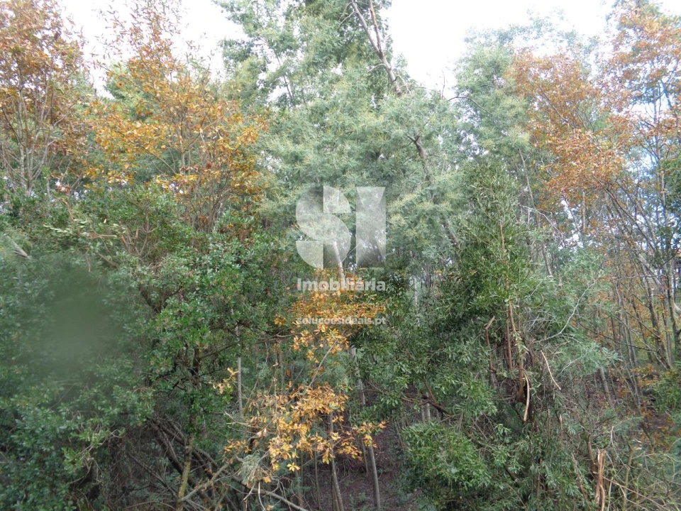 Terreno para Venda em Lousã e Vilarinho Foto 12