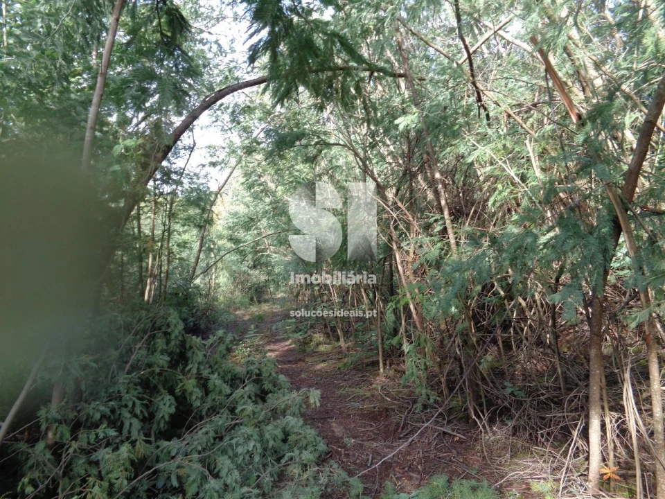 Terreno para Venda em Lousã e Vilarinho Foto 17