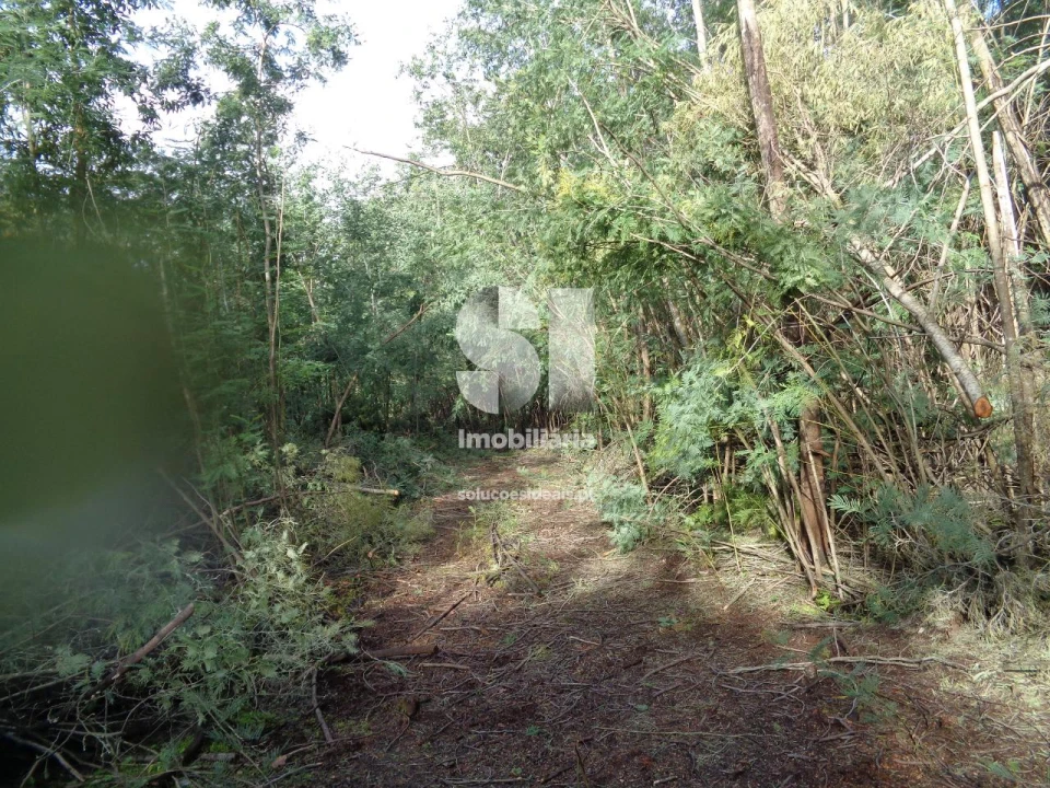 Terreno para Venda em Lousã e Vilarinho Foto 18