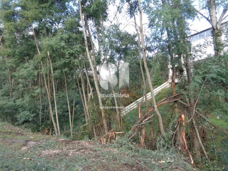 Terreno para Venda em Lousã e Vilarinho Foto 22