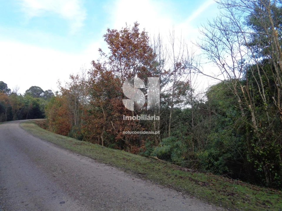 Terreno para Venda em Lousã e Vilarinho Foto 24