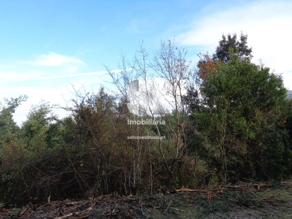 Terreno para Venda em Lousã e Vilarinho Foto 26
