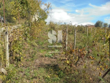 Terreno para Venda em Poiares (Santo Andre)