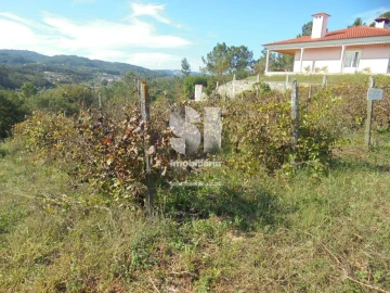 Terreno para Venda em Poiares (Santo Andre)
