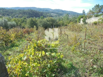 Terreno para Venda em Poiares (Santo Andre)