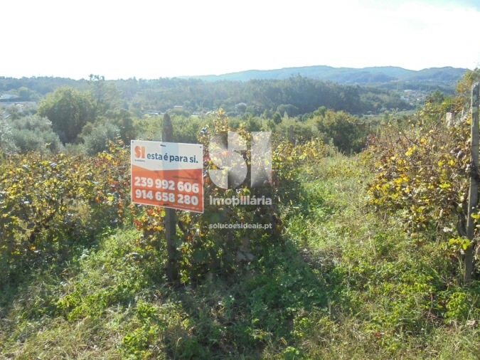 Terreno para Venda em Poiares (Santo Andre) Foto 1