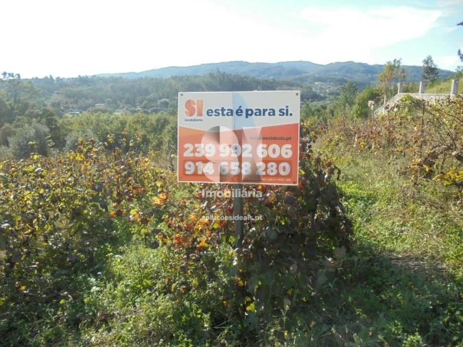Terreno para Venda em Poiares (Santo Andre) Foto 4