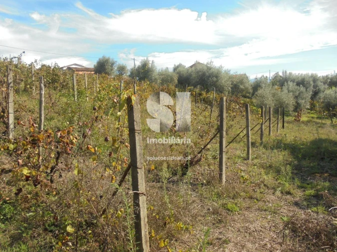 Terreno para Venda em Poiares (Santo Andre) Foto 7