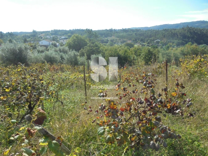 Terreno para Venda em Poiares (Santo Andre) Foto 9