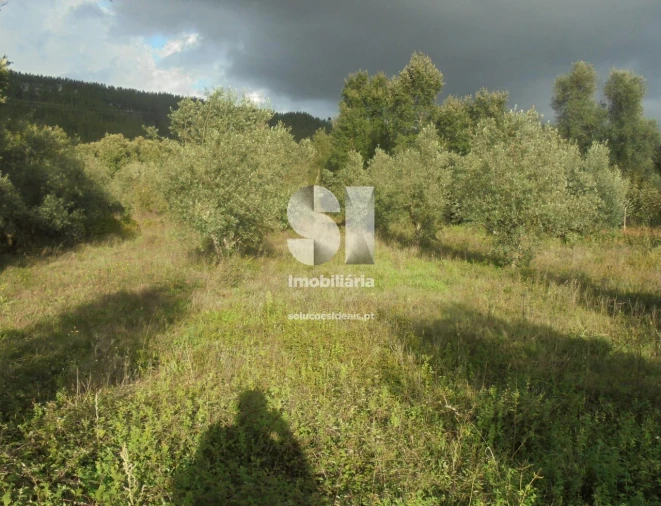 Terreno para Venda em Lousã e Vilarinho Foto 4
